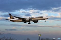 「真青の空」 Singapore 787-10 9V-SWE  Landing 