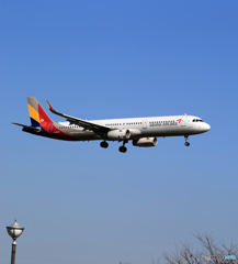 ☀「青い空」が一番 Asiana A321-231  到着