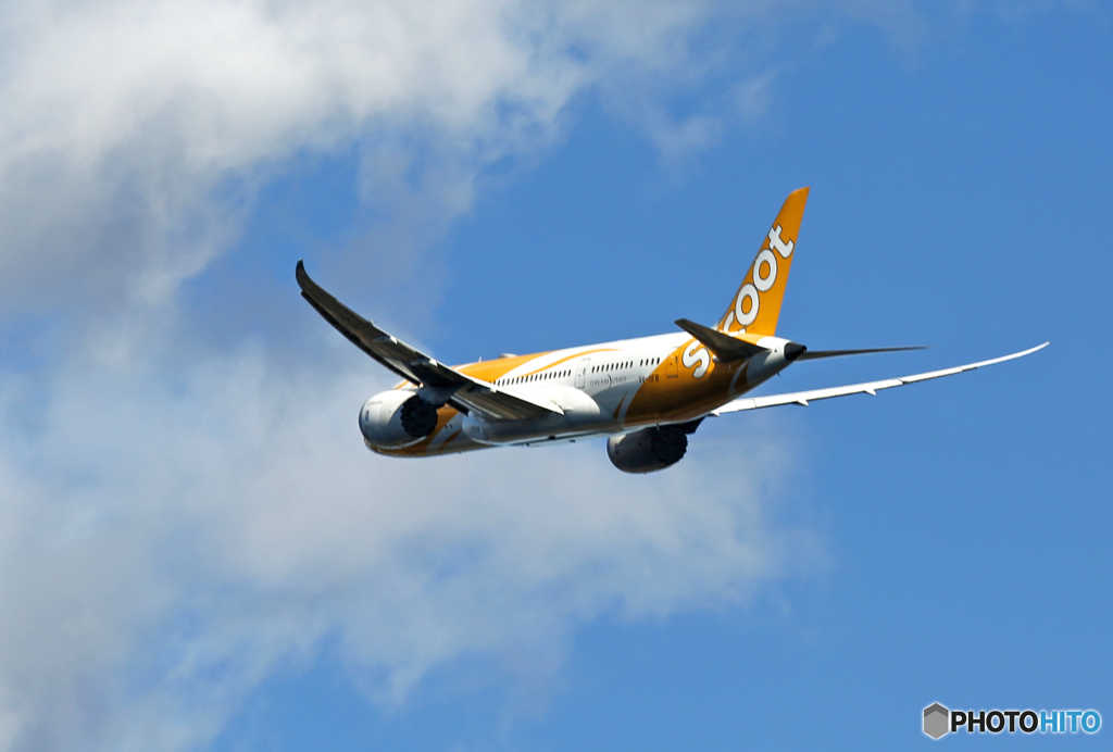 「良い空～」 scoot 787-8 9V-OFB