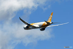 「良い空～」 scoot 787-8 9V-OFB