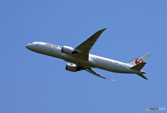 「令和」JAL 787-9 JA872J Takeoff