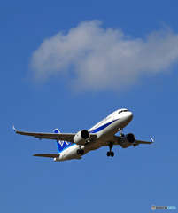 「青の空」ANA A320-271N JA216A Takeoff