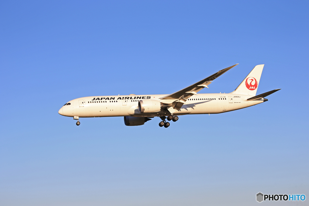 「Blue」JAL 787-9 JA864J 着陸