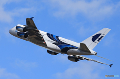 「青が大好き」☮   Airbus A380が飛ぶ・さくらの山 ✈