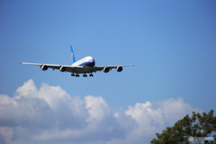 「青が好き」中国南方 A380-841 夏の雲とさくらの山