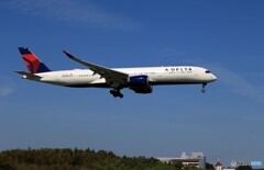  「晴れ」DELTA A350-941 N507DN Landing 