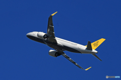 「青色が好き」ロイヤルブルネイ A320-251N V8-RBB 飛ぶ