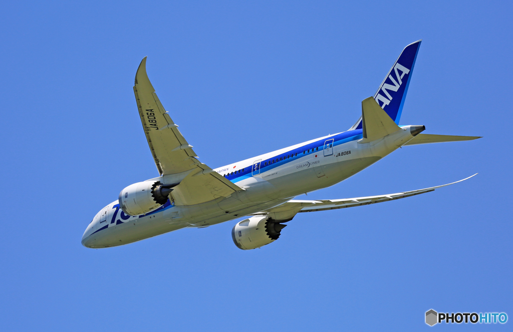 「青が大好き」 ANA 787-8 JA806A 離陸