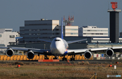 「SKY」NCA 747-8KZF コロナ禍で繁盛！