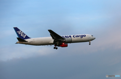 「青が大好き」 ANA Cargo 767-381 JA603A Landing