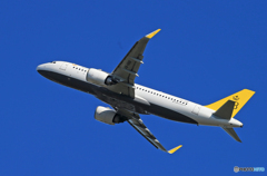 ☀「青い空」が一番　ロイヤルブルネイA320  出発