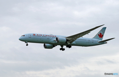 「くもり」Air Canada 787-9 C-FGEI Landing