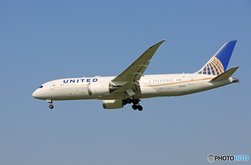 「青が好き」 UNITED 787-8 N27901 到着です