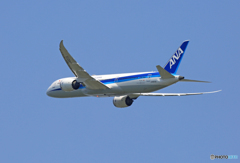 「青色が好き」 ANA 787-9 JA837A Takeoff 