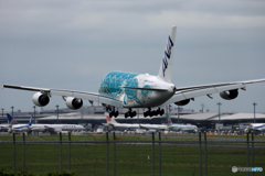 「くもり」 ANA A380-841 JA382A  Landing