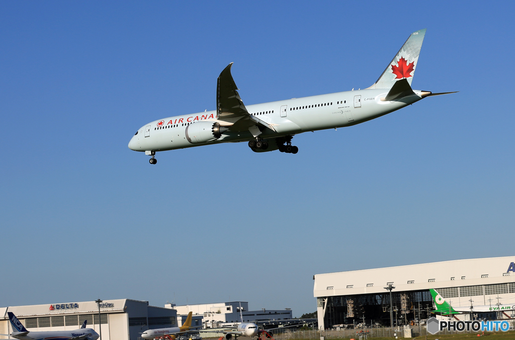 「青」 AIR CANADA 787-9 C-FGDX 飛行