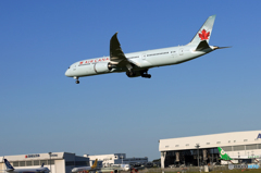 「青」 AIR CANADA 787-9 C-FGDX 飛行