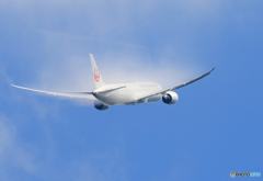 「あおぞら」 Japan Airlines 787-9 べいぱー