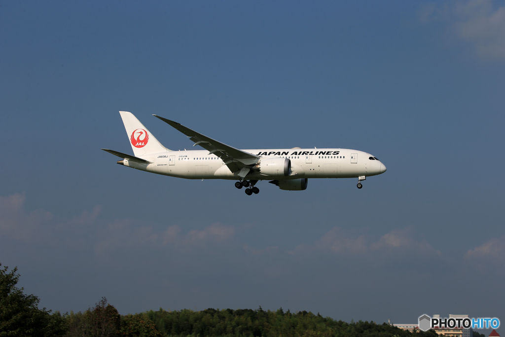 「あおぞら」JAL 787-8 JA836J   Landing 