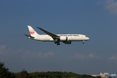 「あおぞら」JAL 787-8 JA836J   Landing 
