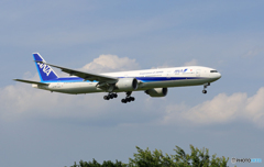 「青色が好き」 ANA 777-381 JA778A 着陸します
