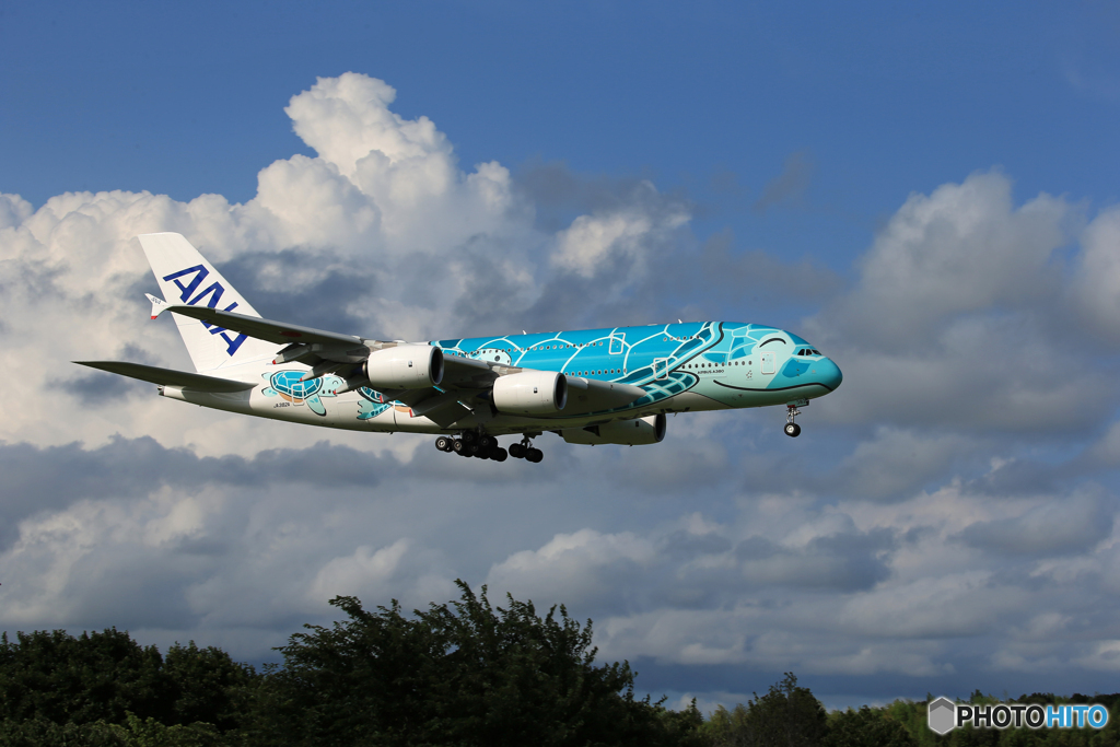「青い空」が一番 　スマイル顔で戻って来た～