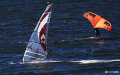 「青が大好き」行けるかな（７）