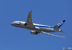 「青色が好き」 ANA 787-9 JA875A  Takeoff 