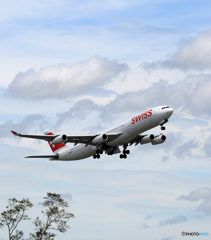 「空色」 SWISS A340-313 HB-JMH 飛行