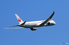 [青い空] JAL 787-9 JA863J飛び立ちです 