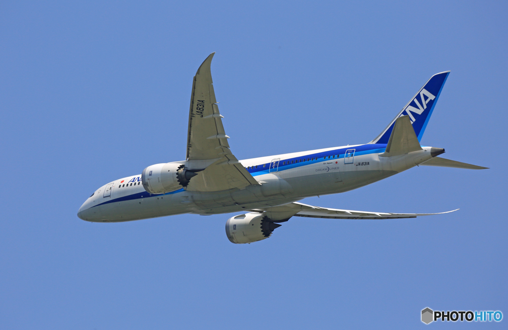 ☀「青い空」が一番 ANA 787-8 JA831A
