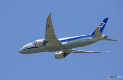 ☀「青い空」が一番 ANA 787-8 JA831A