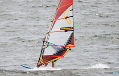 「青が好き」風と共に去りぬ