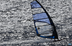 「青色が好き」風と友に