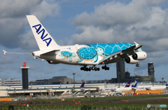 「晴れ」 ANA Flying Honu JA382A Landing