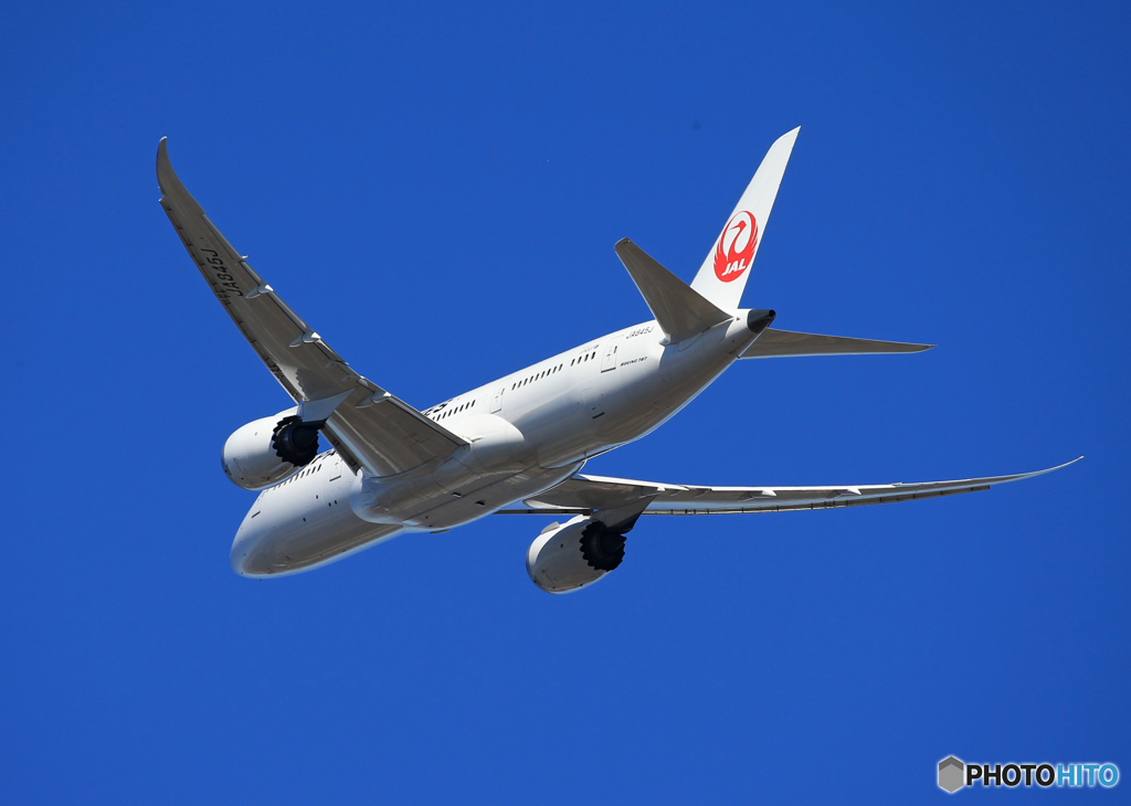 「スカイ」 JAL 787-8 JA845J Takeoff 