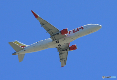 「ブルー」珍しいチャーター便GET 出発