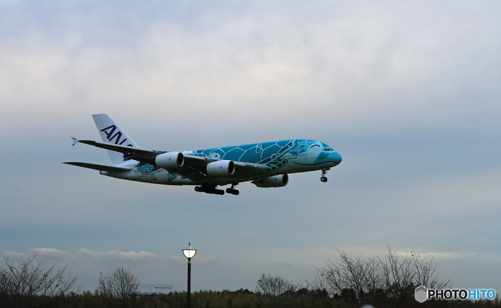 「青の空」Flying Honu A380-841 JA382A 到着です
