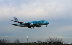 「青の空」Flying Honu A380-841 JA382A 到着です