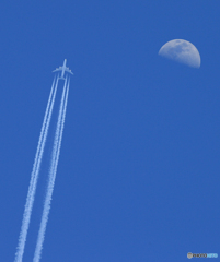 「そらー」✈ A380 と ムーン✈