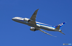 「あおいそら」ANA 787-9 JA892A Takeoff