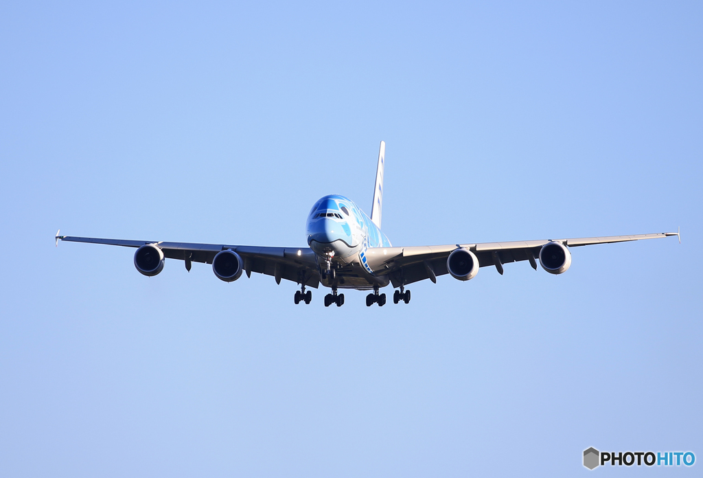 「青い日」ANA A380-841 Landing JA381A
