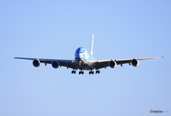 「青い日」ANA A380-841 Landing JA381A