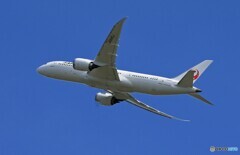 「群青」JAL 787-8 JA802A Takeof