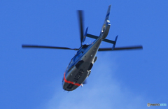 「青い空」ユーロコプター  AS365/565  Eurocopter