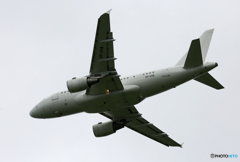 プライベート☮貴重 ケイマン諸島 A318-112☮Takeoff