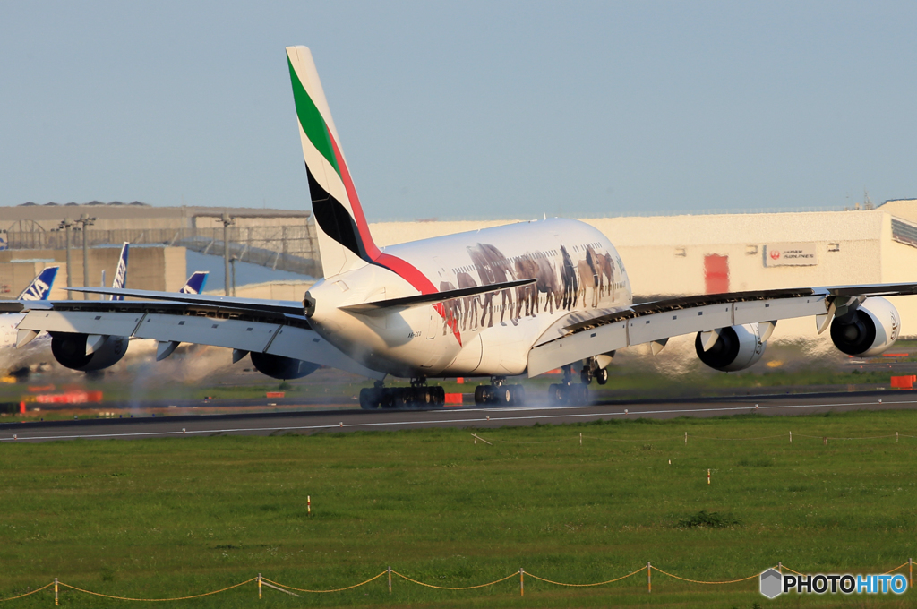 「すかい」エミレーツ特別塗装A380-861  Landing