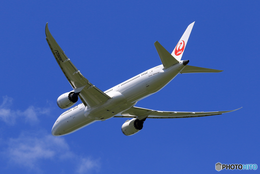 「ぶるー」 JAL 787-9 A862J 飛ぶ