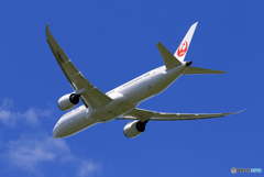 「ぶるー」 JAL 787-9 A862J 飛ぶ