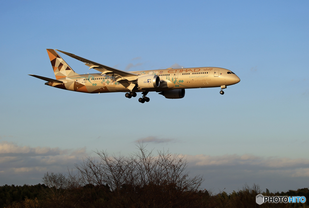 「青が好き」 ETIHAD 787-9 A6-BLN  着陸します
